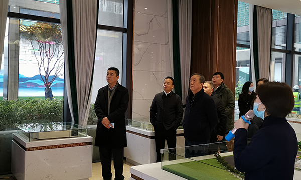 腾博会集团向导一行莅临武建中港城项目检查指导